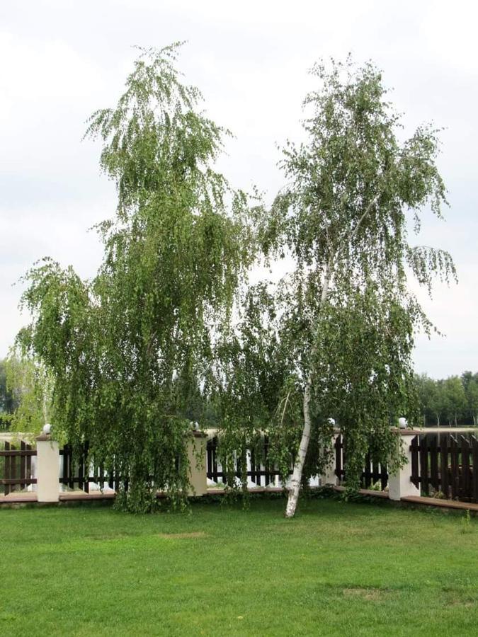 Hotel And Restaurant Complex Lubokray Pereyaslav-Khmelʼnytsʼkyy Exteriör bild